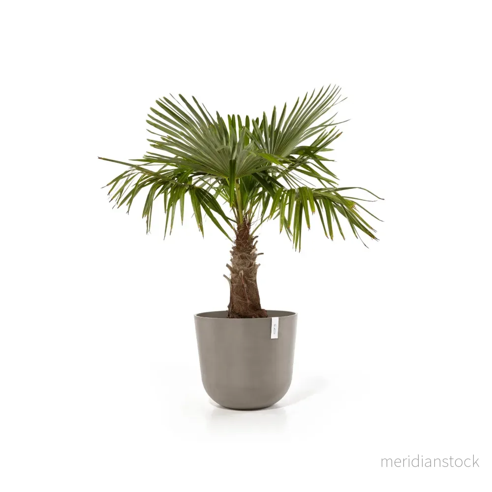Kruka Oslo 55cm taupe