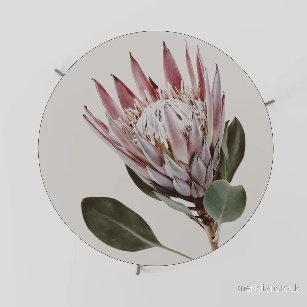 PROTEA FLOWER Soffbord - Bild 2