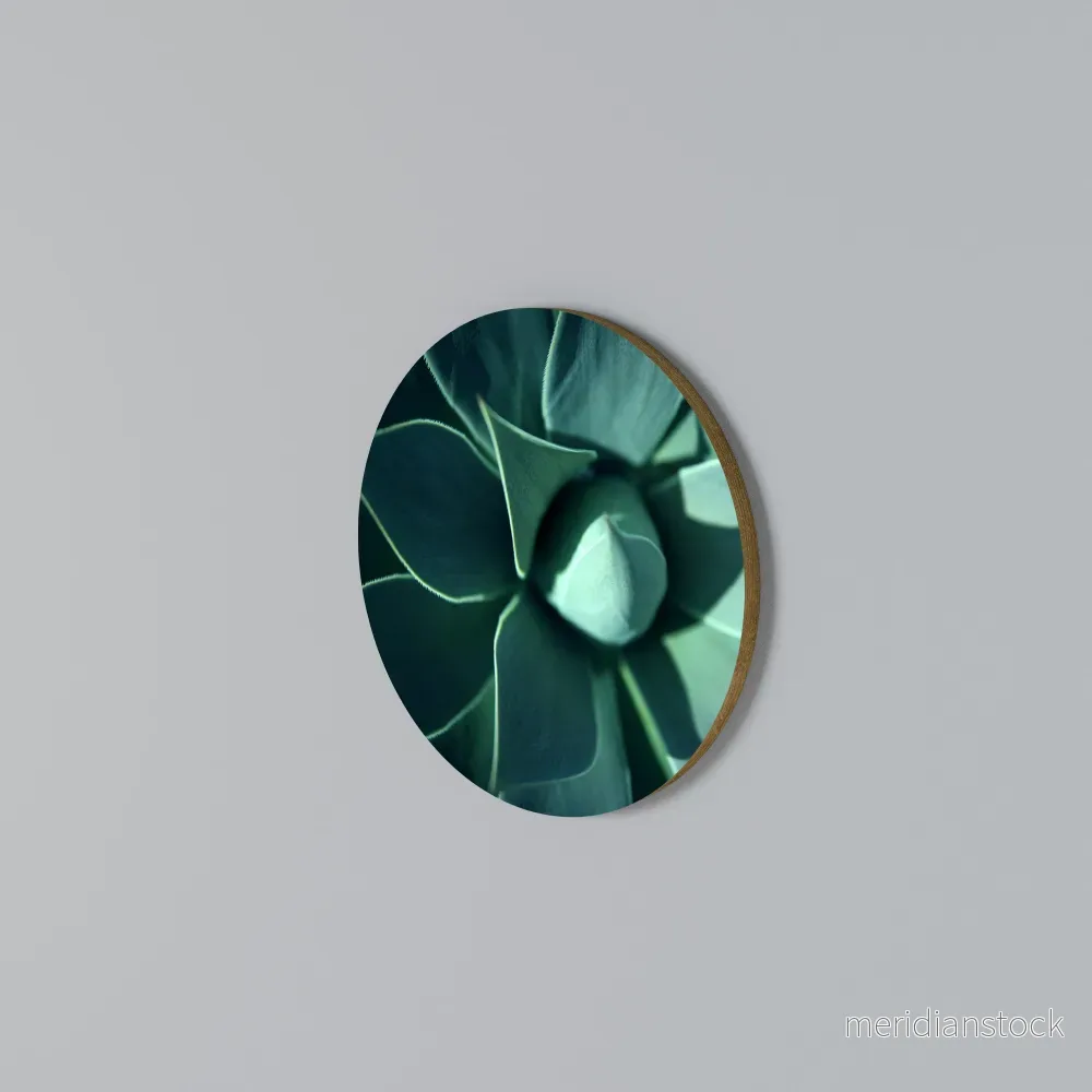 MYSTICAL GREEN WHORL Rund väggdekor - Bild 3