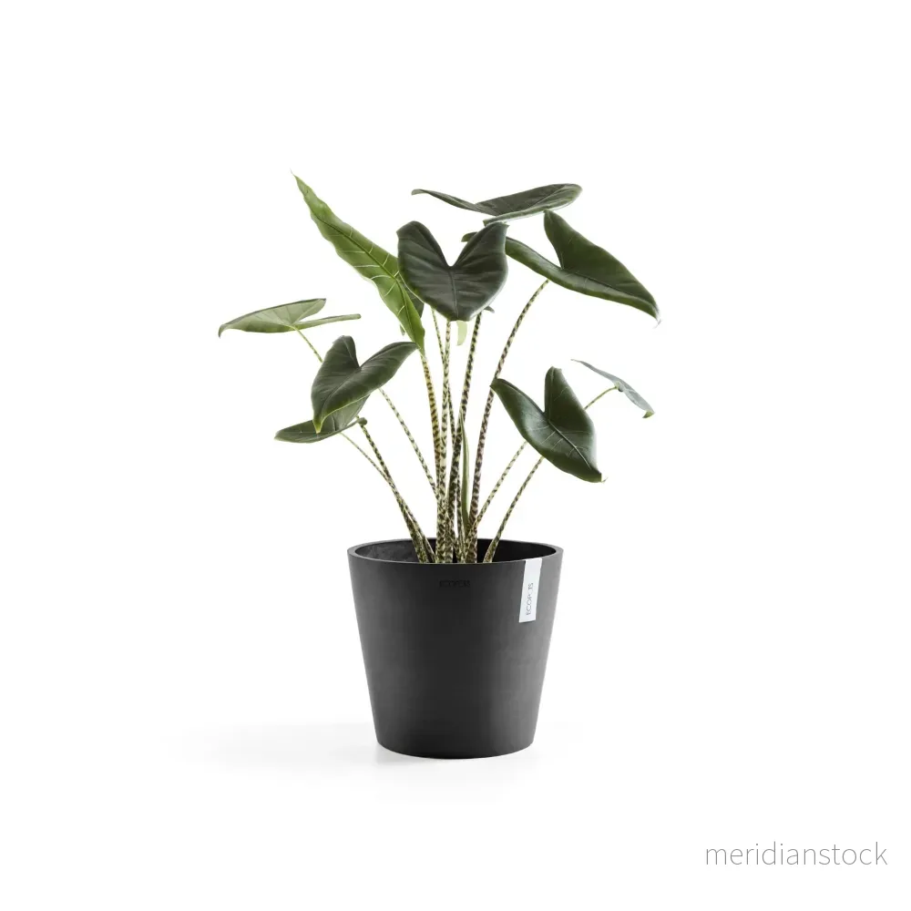 Kruka Amsterdam 40 cm mörkgrå
