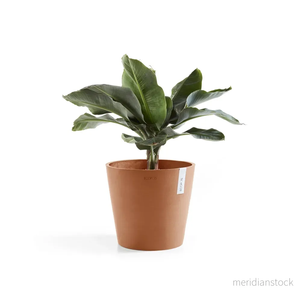 Kruka Amsterdam 25cm terrakotta Kruka Amsterdam 25cm terrakotta
