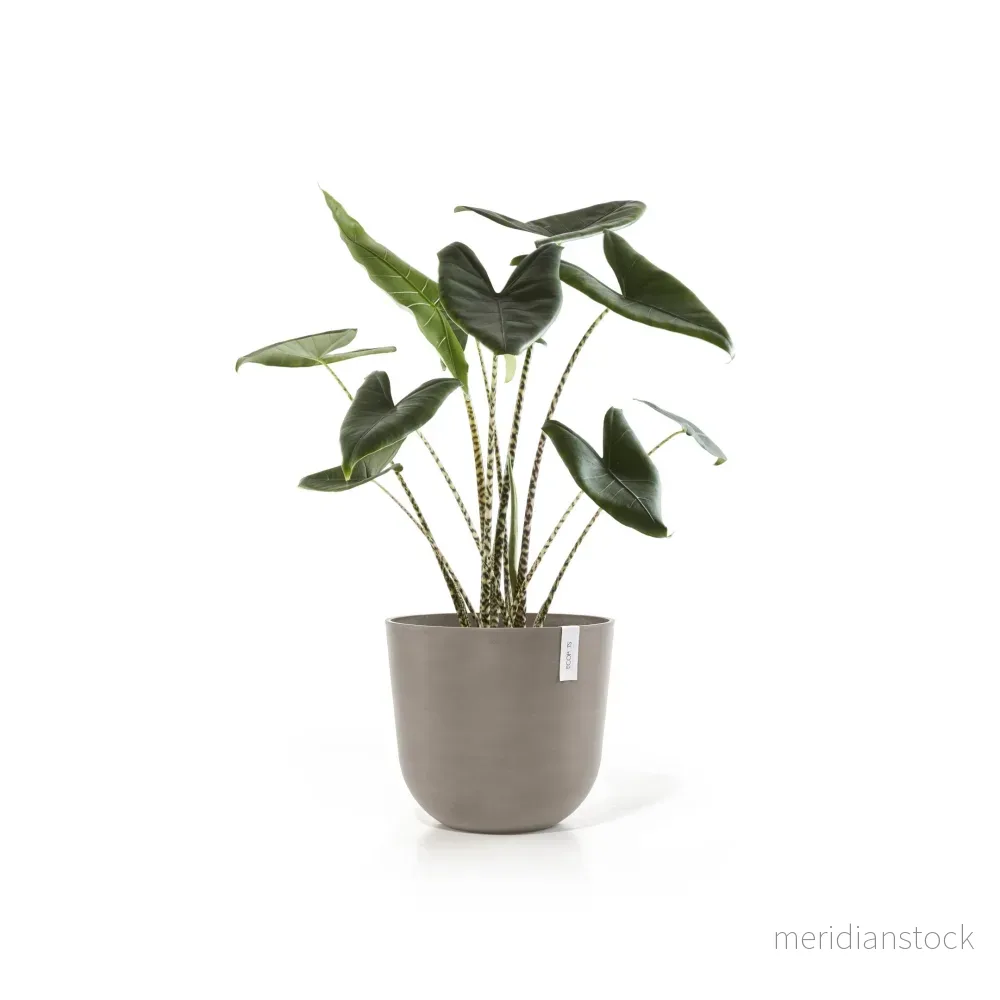 Kruka Oslo 45cm taupe