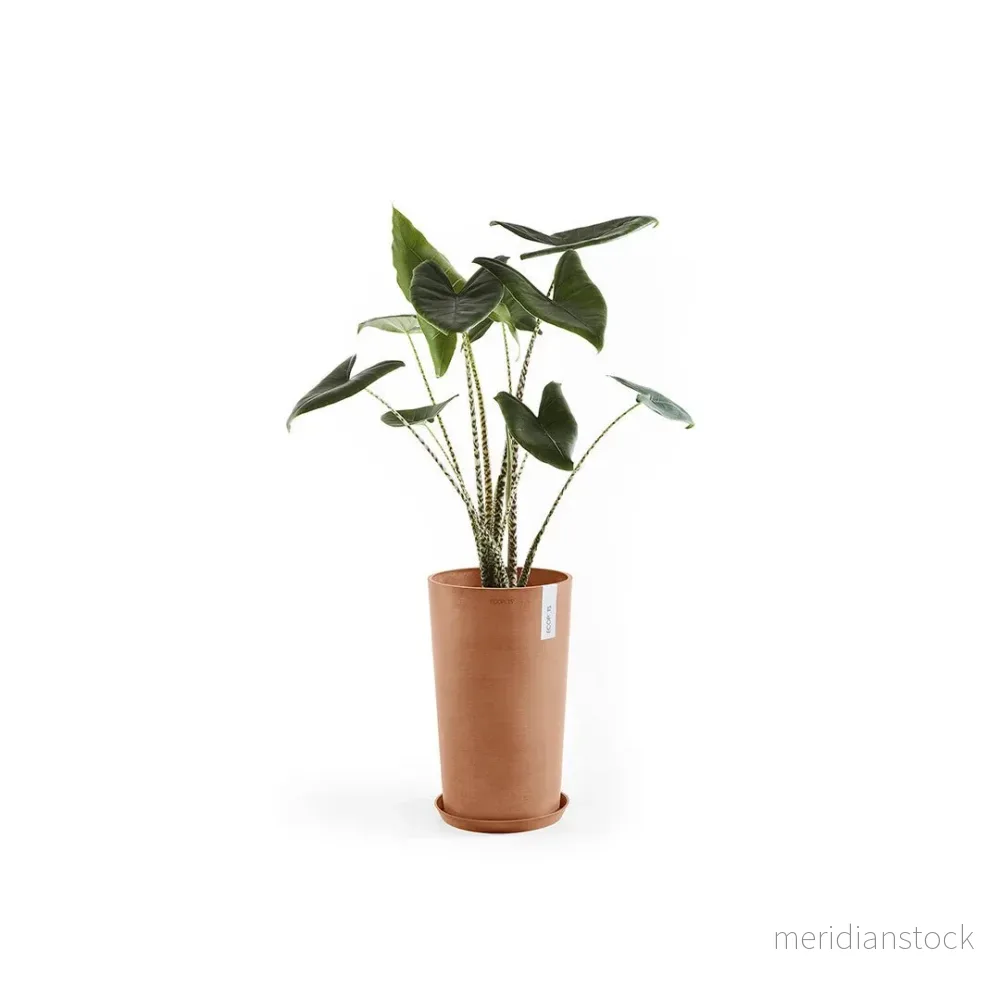 Kruka Amsterdam medelhög 50cm terrakotta - Bild 3