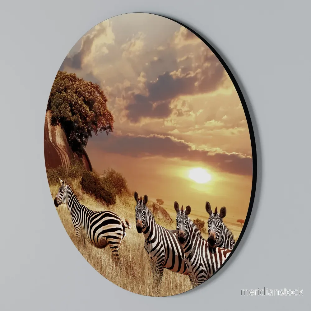 ZEBRA SUNSET SERENADE Rund väggdekor - Bild 2