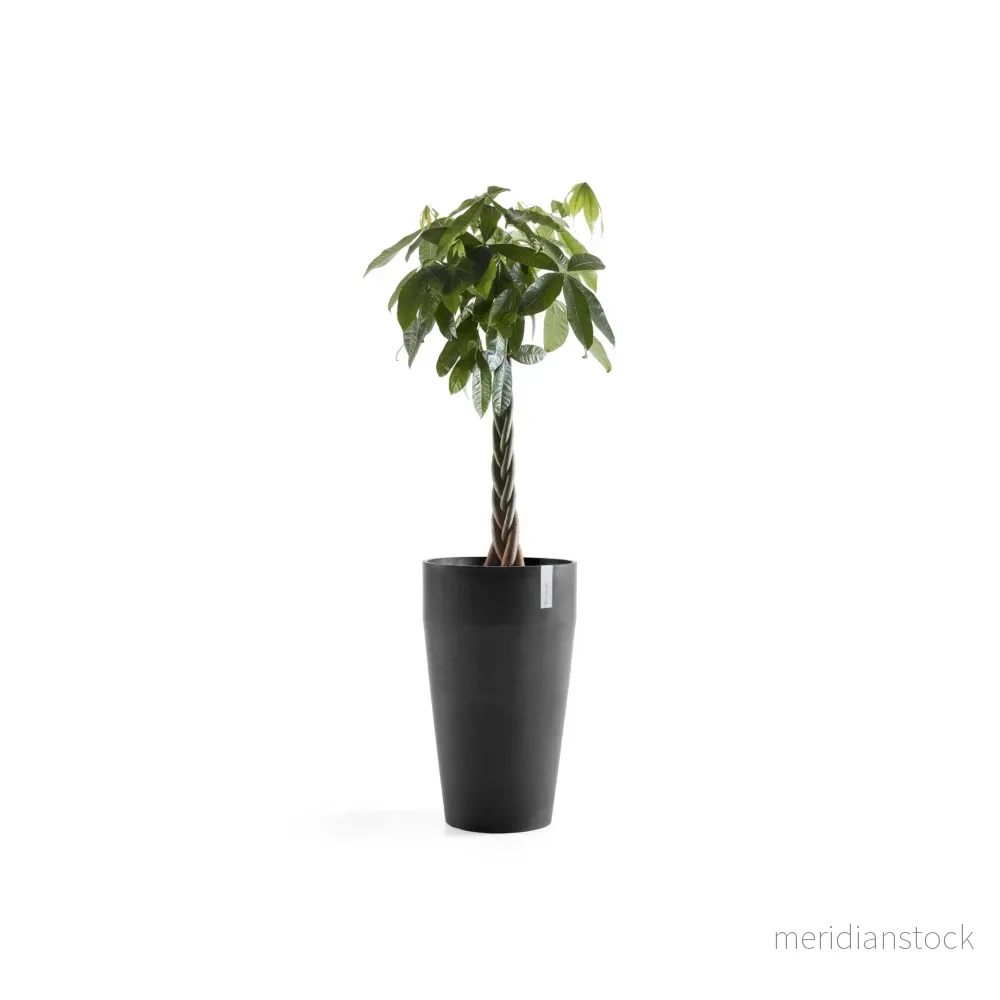 Kruka Sankara hög 75cm mörkgrå