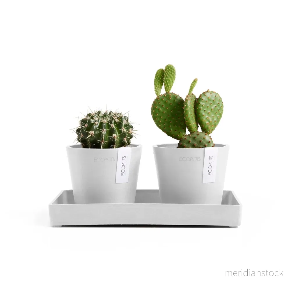 Kruka Amsterdam 10,5cm 2st & presentationsbricka 25cm vit - Bild 2