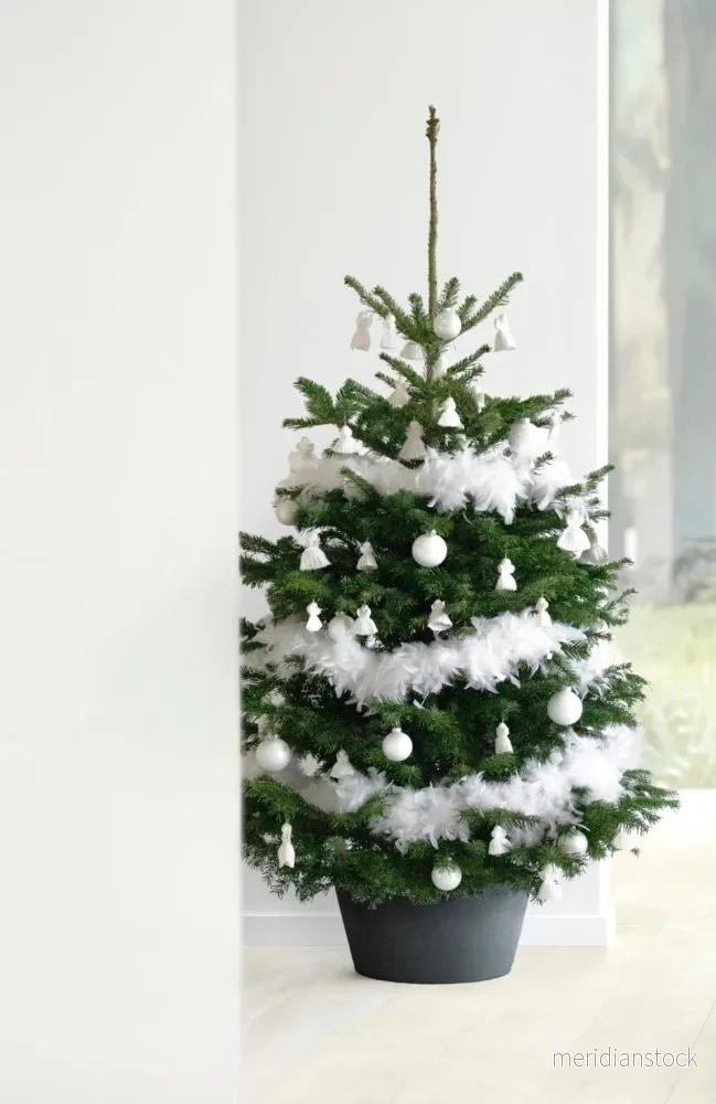 Julgransställ XL mörkgrå - Bild 2