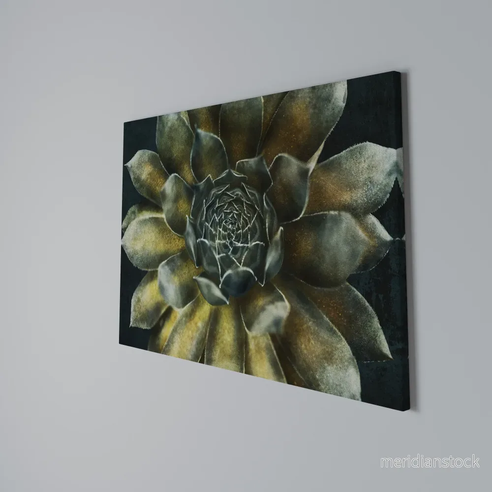 MYSTICAL SUCCULENT WHIRL Horizontal Canvas Print - Bild 3