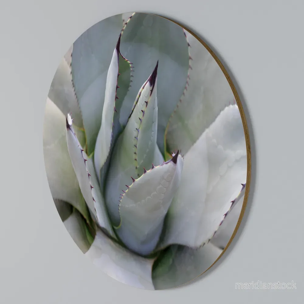 AGAVE ELEGANCE Rund väggdekor AGAVE ELEGANCE Rund väggdekor