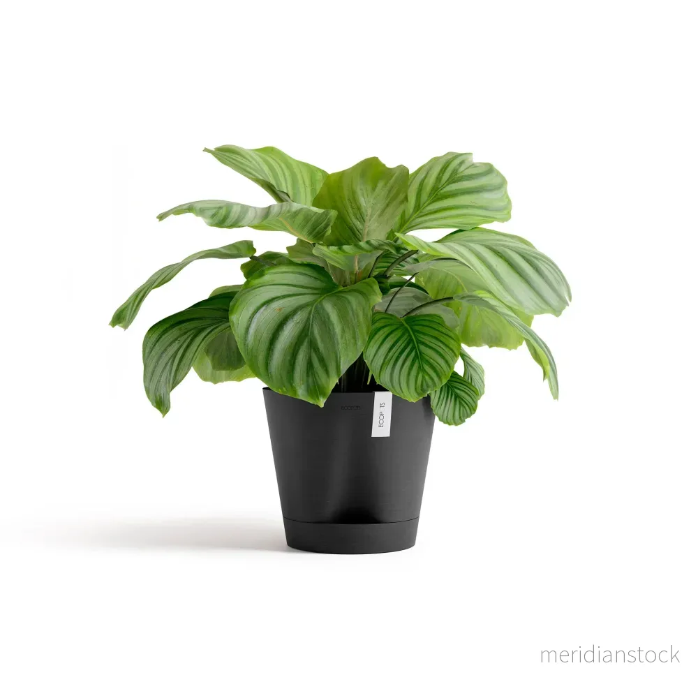 Kruka Venedig 2.0 30cm mörkgrå