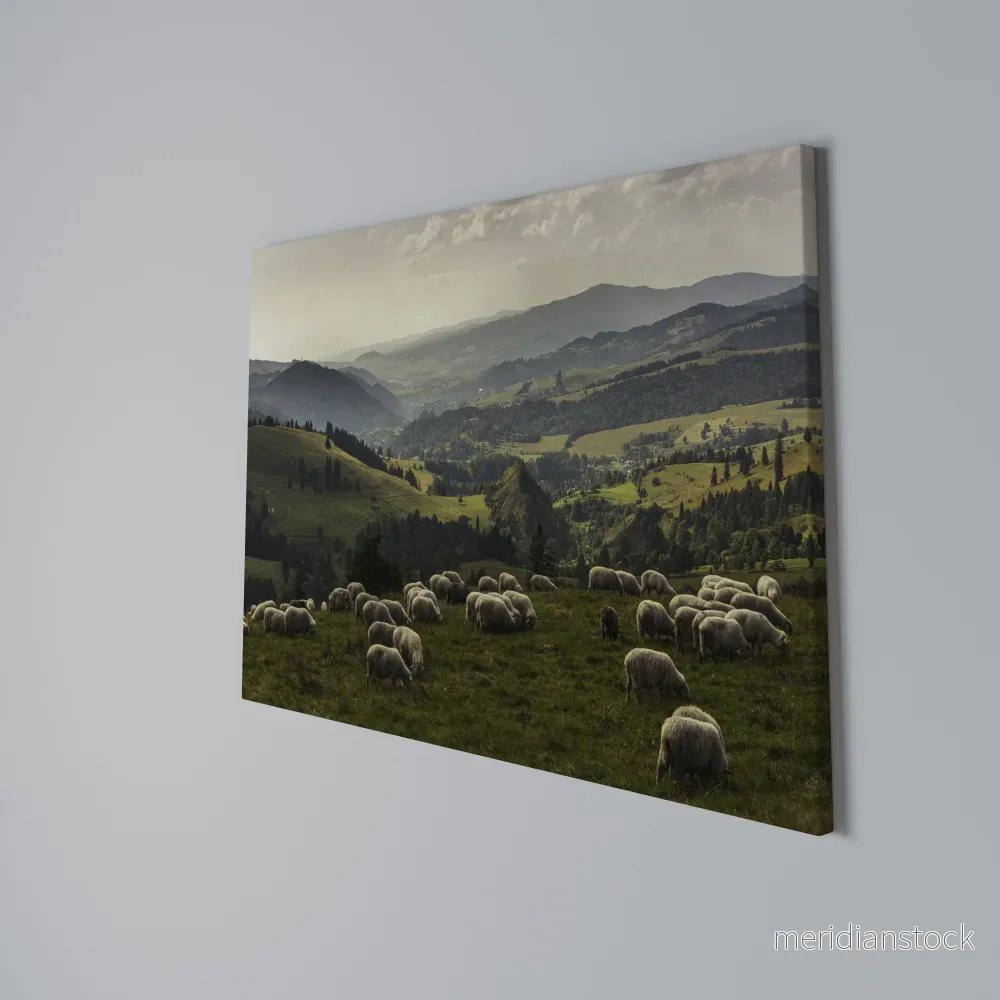 SHEEP IN SERENITY Horizontal Canvas Print - Bild 3