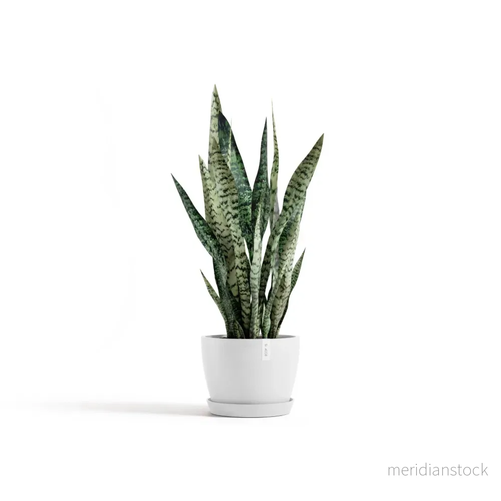 Blomkruka Stockholm 24cm vit - Bild 2
