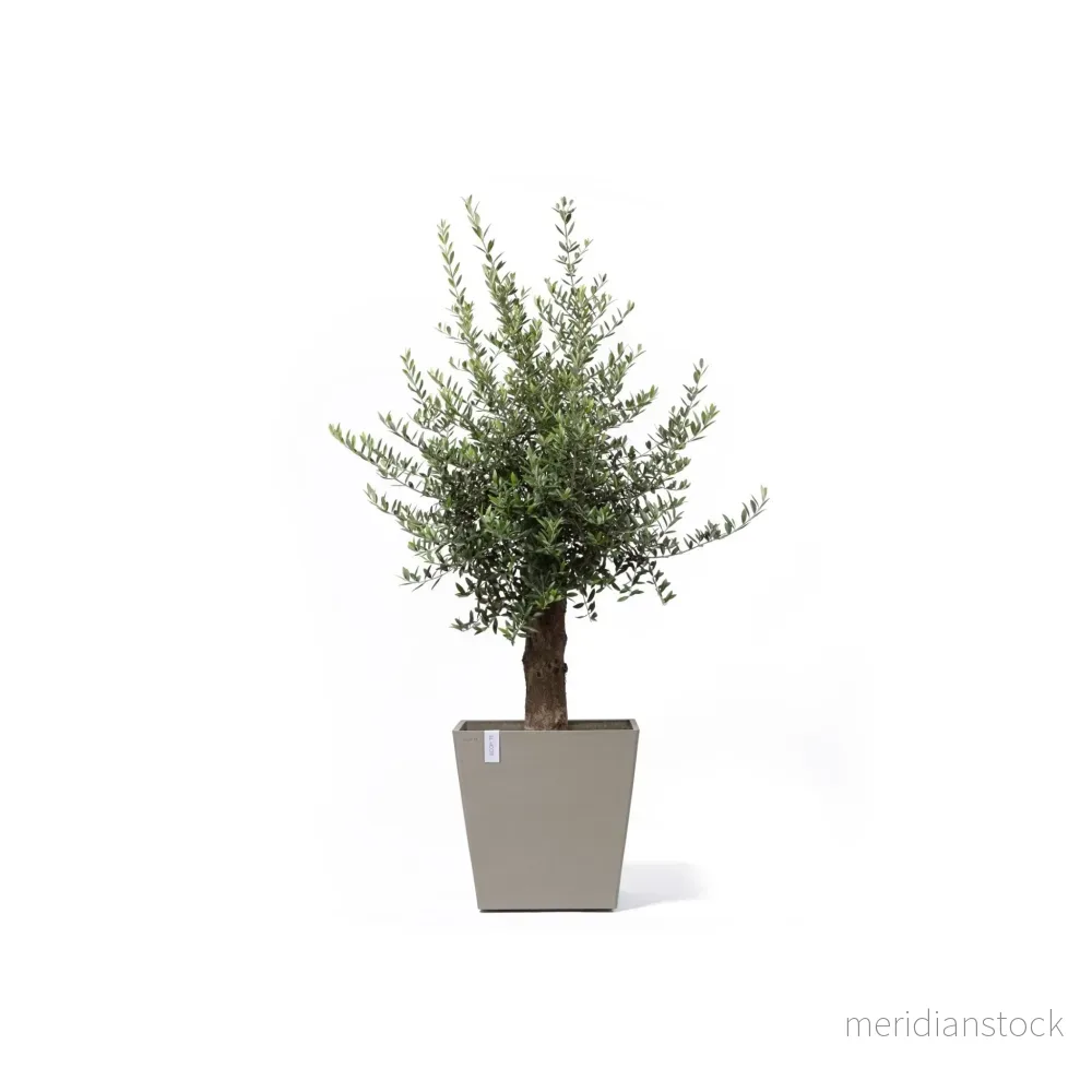 Kruka Rotterdam med hjul 50cm taupe Kruka Rotterdam med hjul 50cm taupe