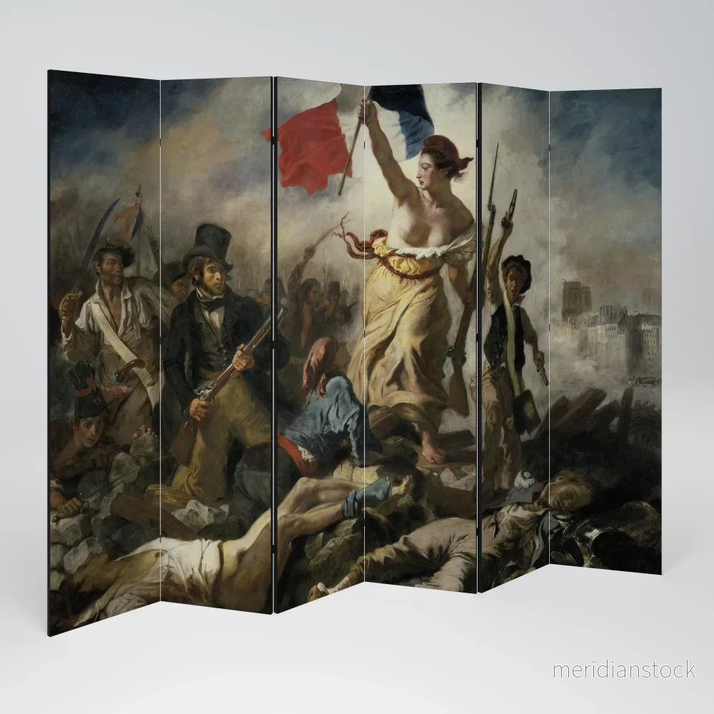 LIBERTY LEADING THE PEOPLE Rumsavdelare 6 paneler