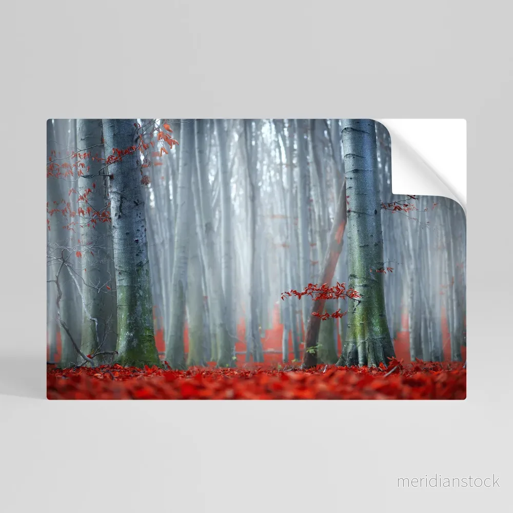 TRANQUIL RED ELEGANCE Självhäftande Horisontell Poster - Bild 3