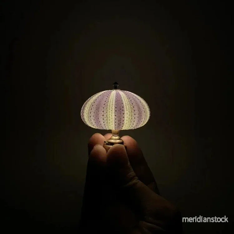 DIY Sjöborrsnäcka Nattljus – LumiUrchin DIY Sjöborrsnäcka Nattljus – LumiUrchin