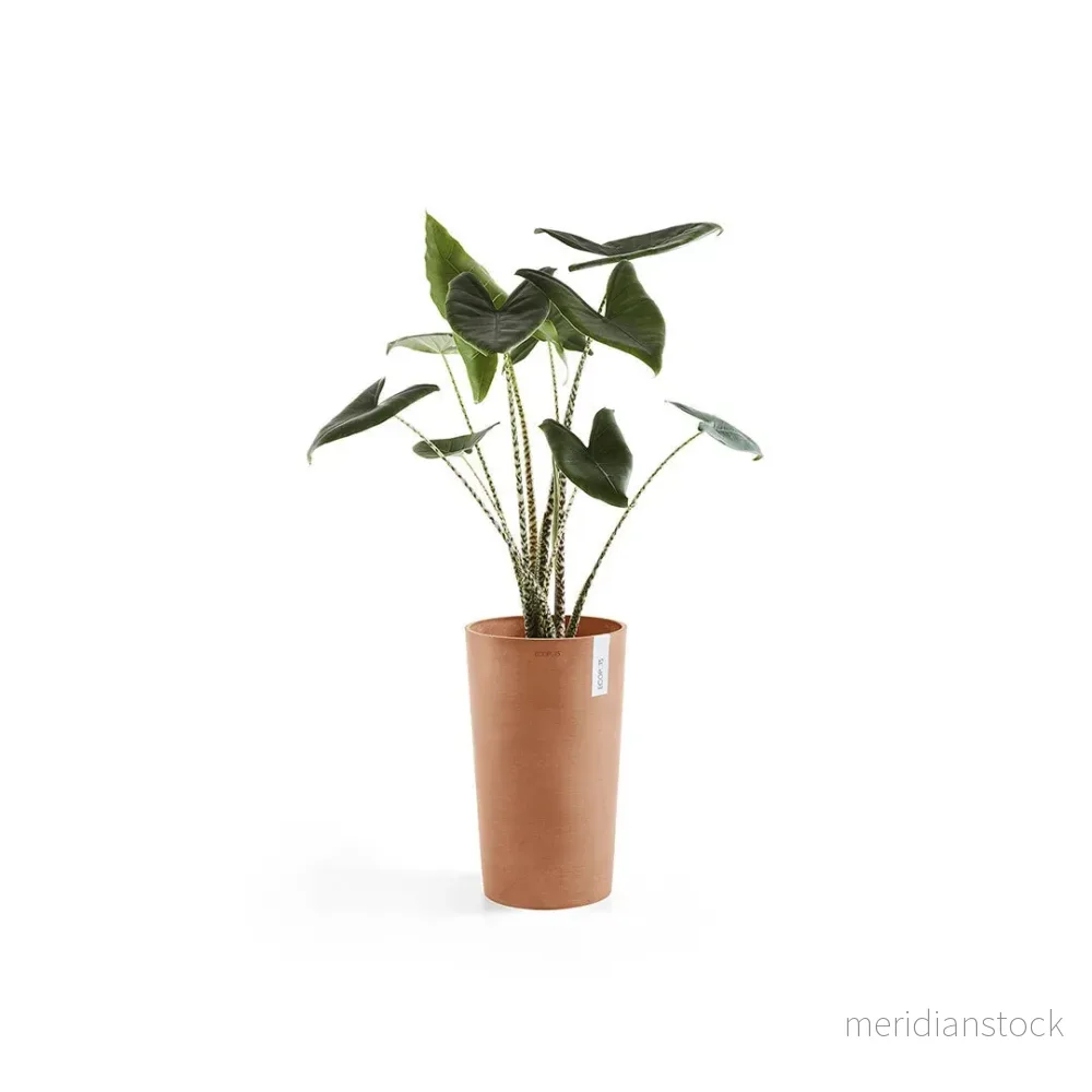 Kruka Amsterdam medelhög 50cm terrakotta Kruka Amsterdam medelhög 50cm terrakotta
