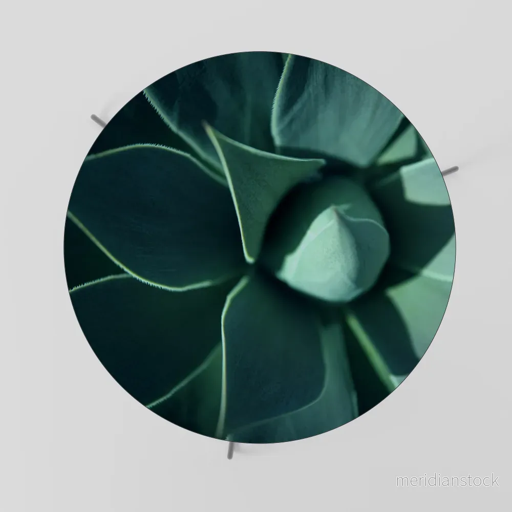 MYSTICAL GREEN WHORL Soffbord - Bild 2