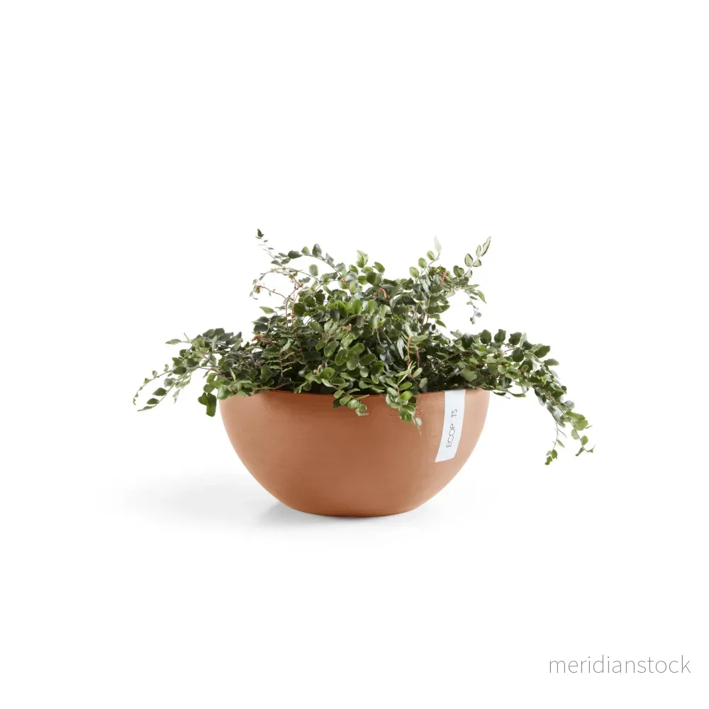 Kruka Bryssel 25cm terrakotta