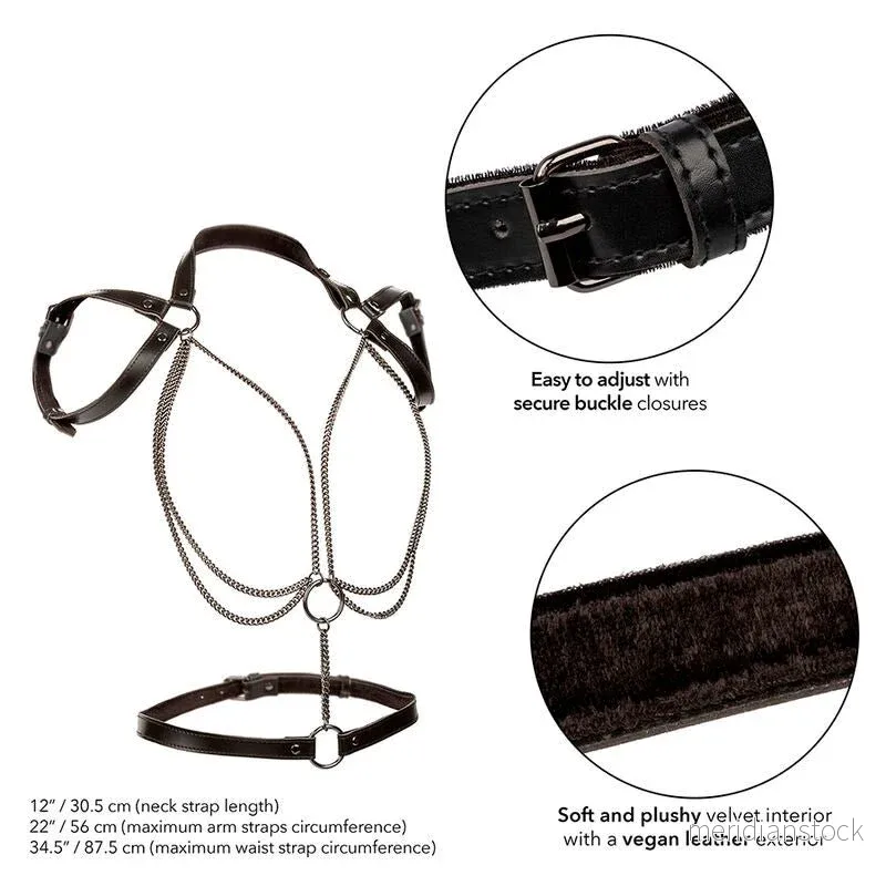 CALEXOTICS - EUPHORIA MULTICHAIN HALTER HARNESS PREMIUM - Bild 2