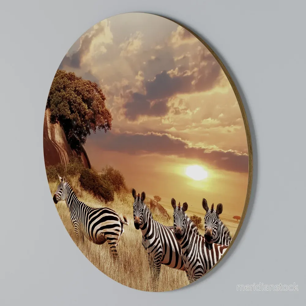 ZEBRA SUNSET SERENADE Rund väggdekor ZEBRA SUNSET SERENADE Rund väggdekor