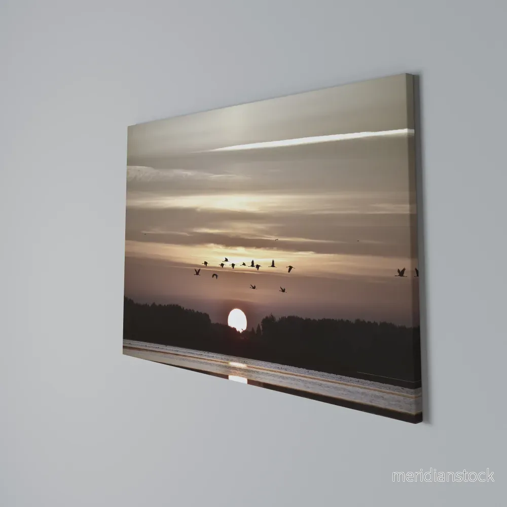 SUNSET FLIGHT SYMPHONY Horizontal Canvas Print - Bild 3