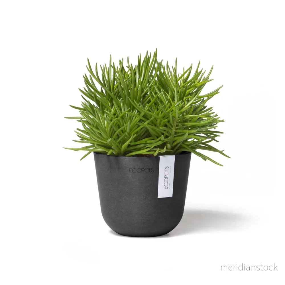 Kruka Oslo 11,5cm mörkgrå