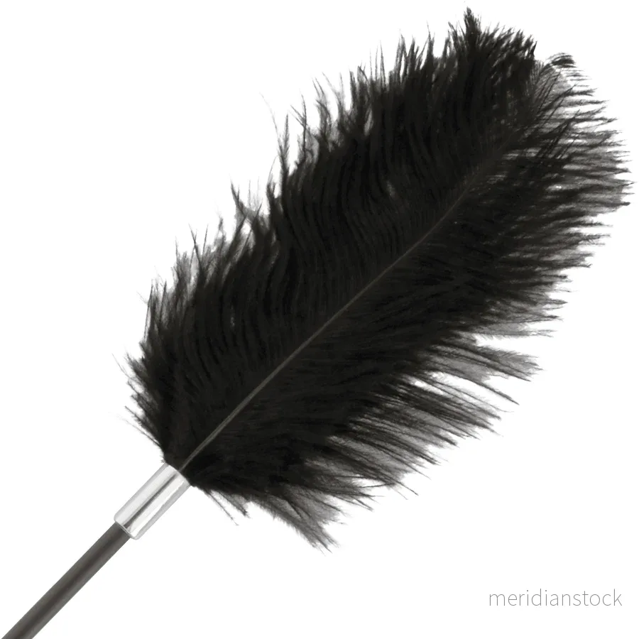 DARKNESS - BLACK LOVE FEATHER WHIP 56 CM - Bild 2