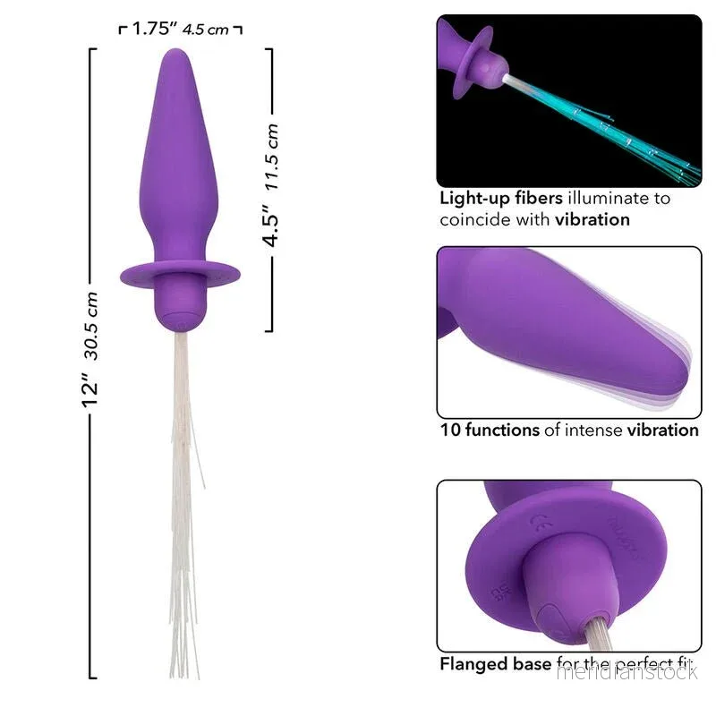 CALEXOTICS - SOUTHERN LIGHTS LIGHT UP ANAL PLUG 10 VIBRATIONS SILICONE PURPLE - Bild 2