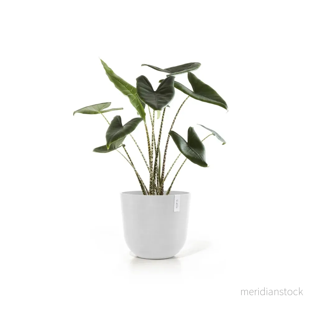 Kruka Oslo 45cm vit