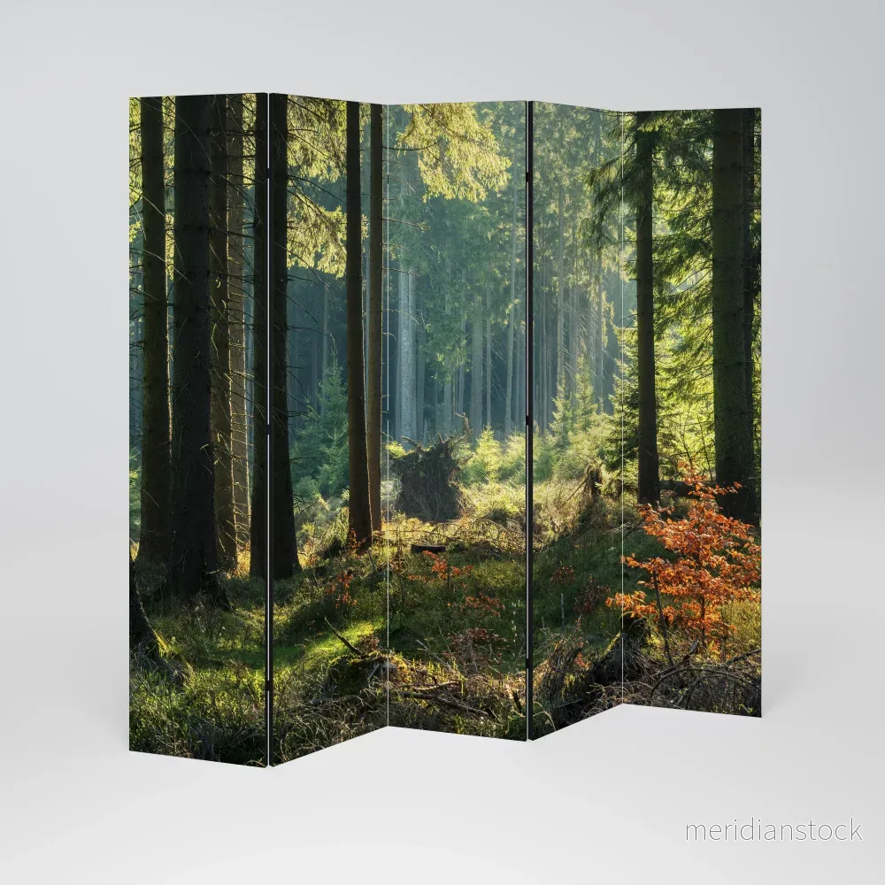 SUNLIT FOREST SERENADE Dekorativ rumsavdelare – 5 paneler