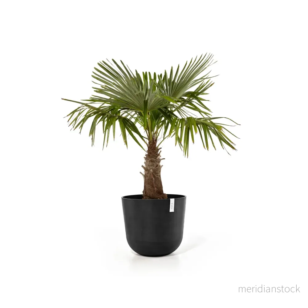 Kruka Oslo 55cm mörkgrå