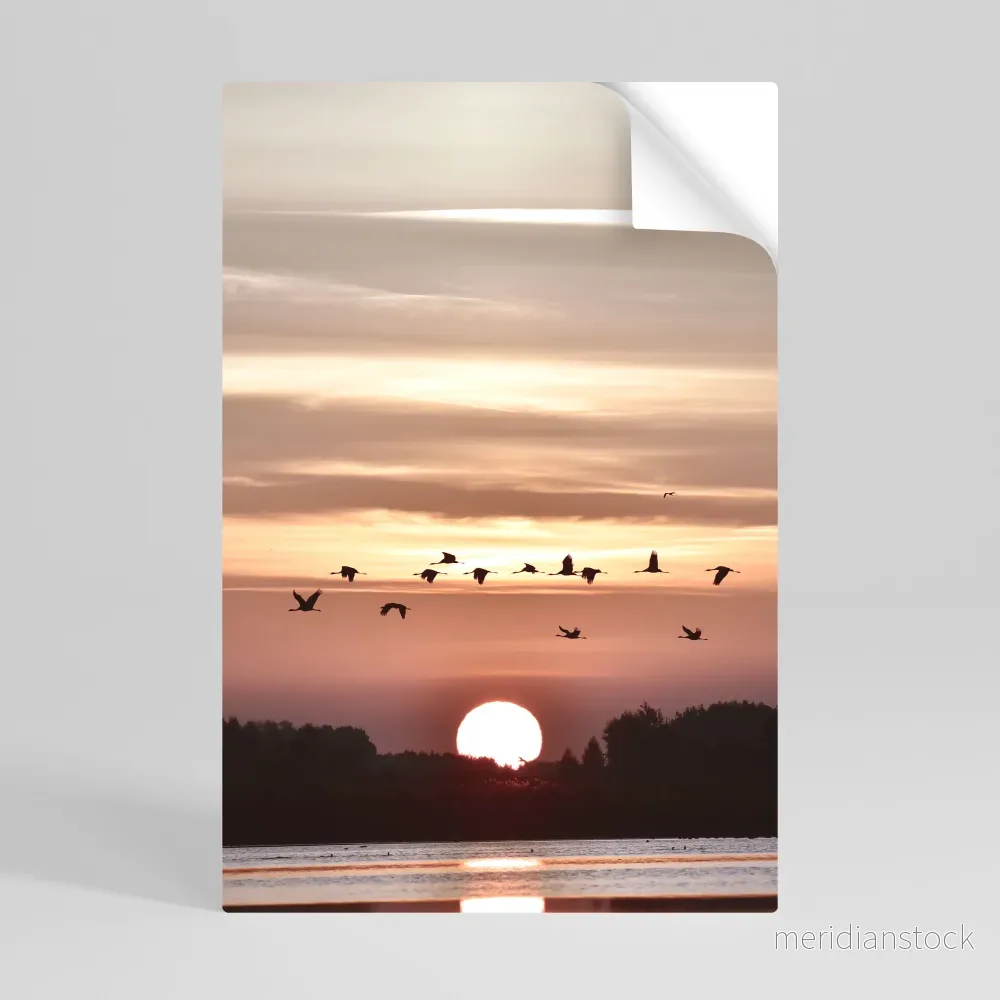 SUNSET FLIGHT SYMPHONY Självhäftande Vertikal Poster