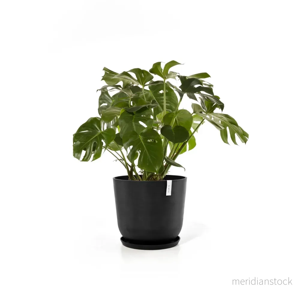 Kruka Oslo 75cm mörkgrå - Bild 2