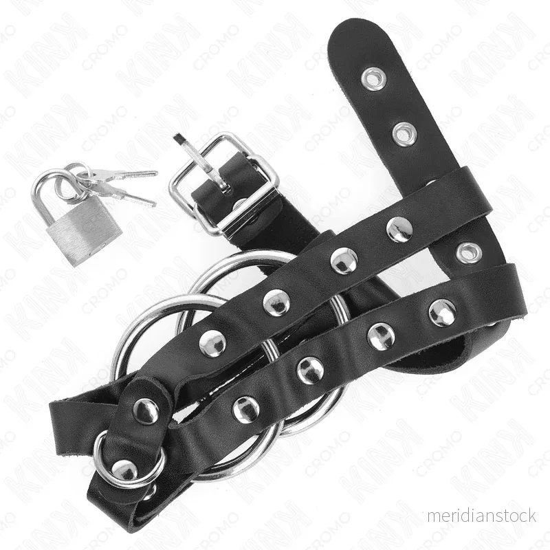 KINK - ADJUSTABLE PENIS CAGE WITH LOCK - Bild 2