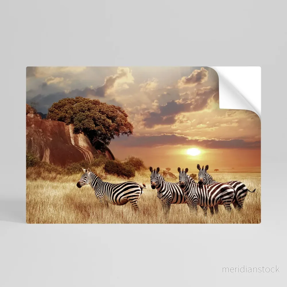 ZEBRA SUNSET SERENADE Självhäftande Horisontell Poster ZEBRA SUNSET SERENADE Självhäftande Horisontell Poster