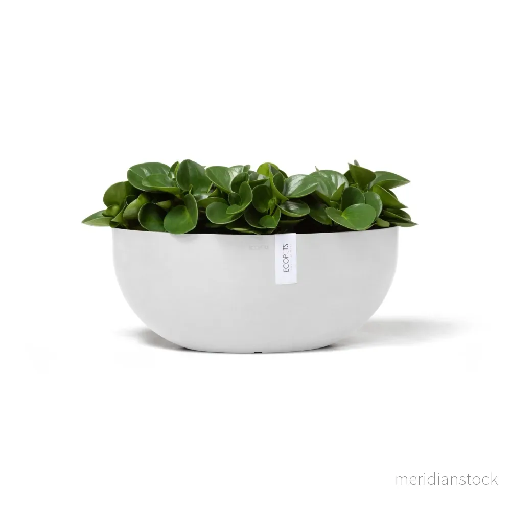 Blomkruka Sofia 43cm vit Blomkruka Sofia 43cm vit