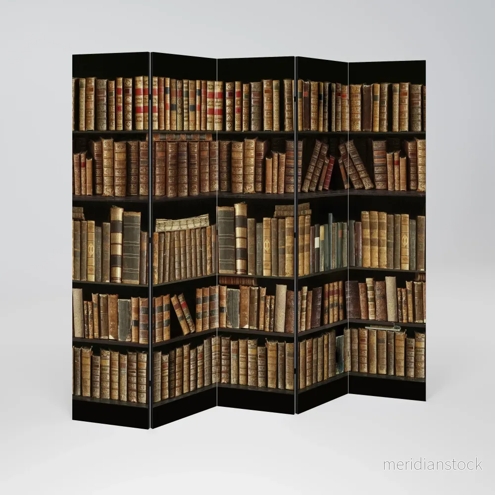 SHELVES OF TIME Dekorativ rumsavdelare – 5 paneler - Bild 2