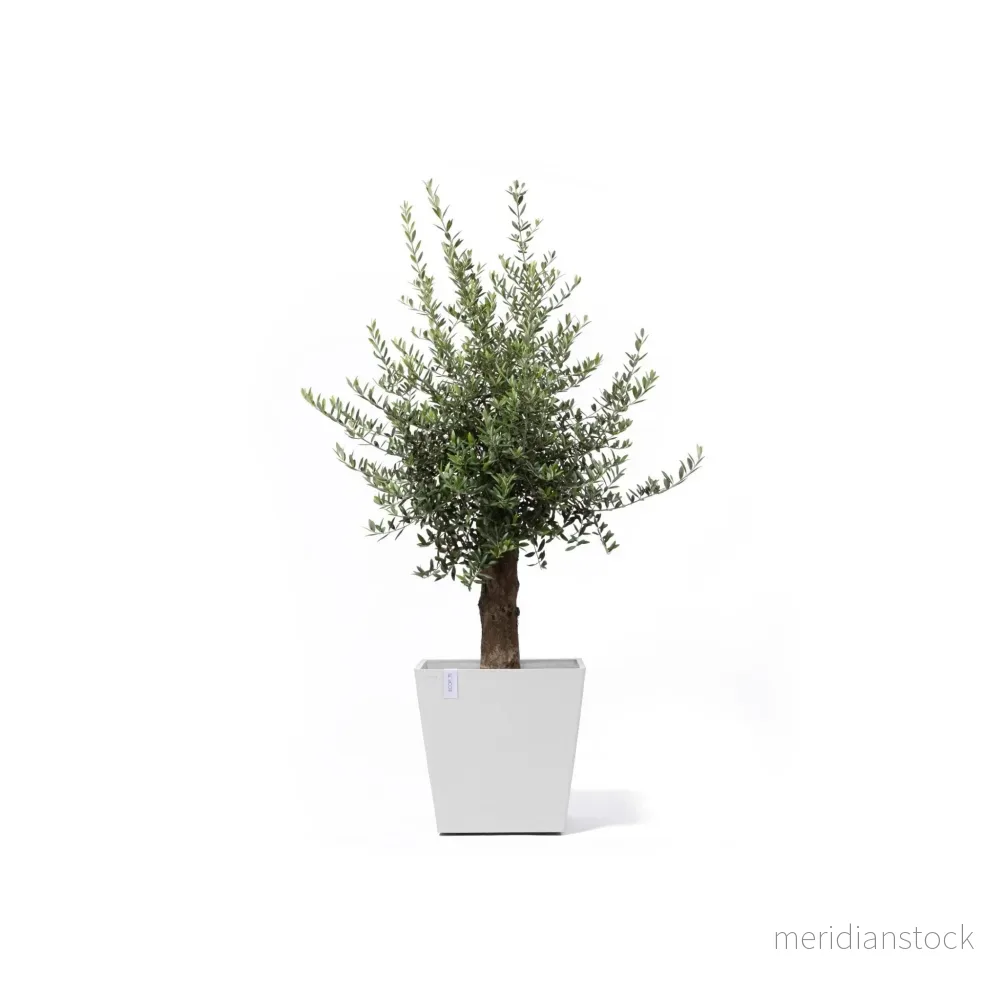 Kruka Rotterdam med hjul 50cm vit