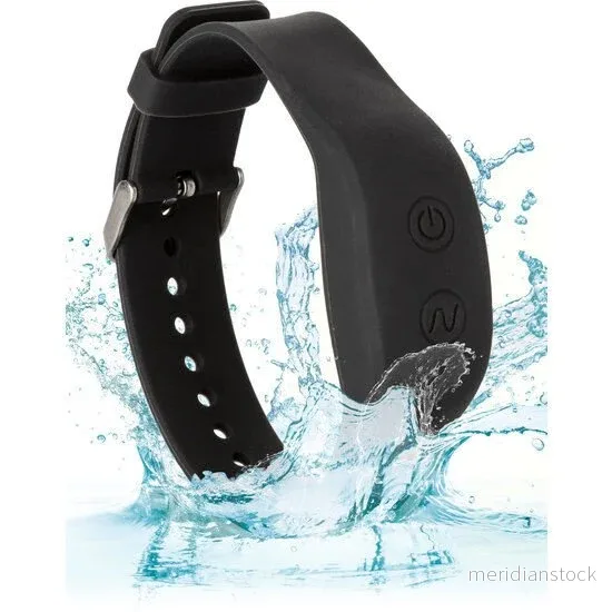 CALEXOTICS - WRISTBAND REMOTE ACCESSORY - Bild 2