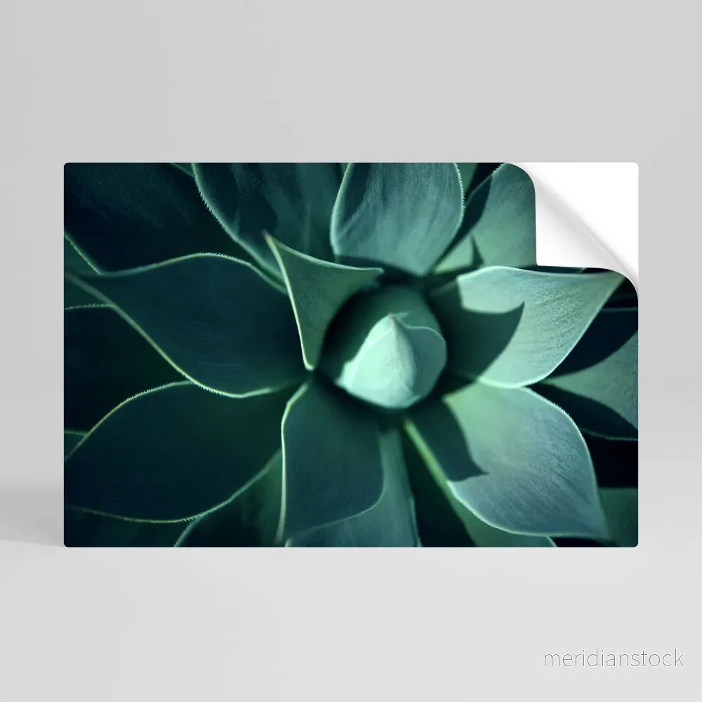 MYSTICAL GREEN WHORL Självhäftande Horisontell Poster MYSTICAL GREEN WHORL Självhäftande Horisontell Poster