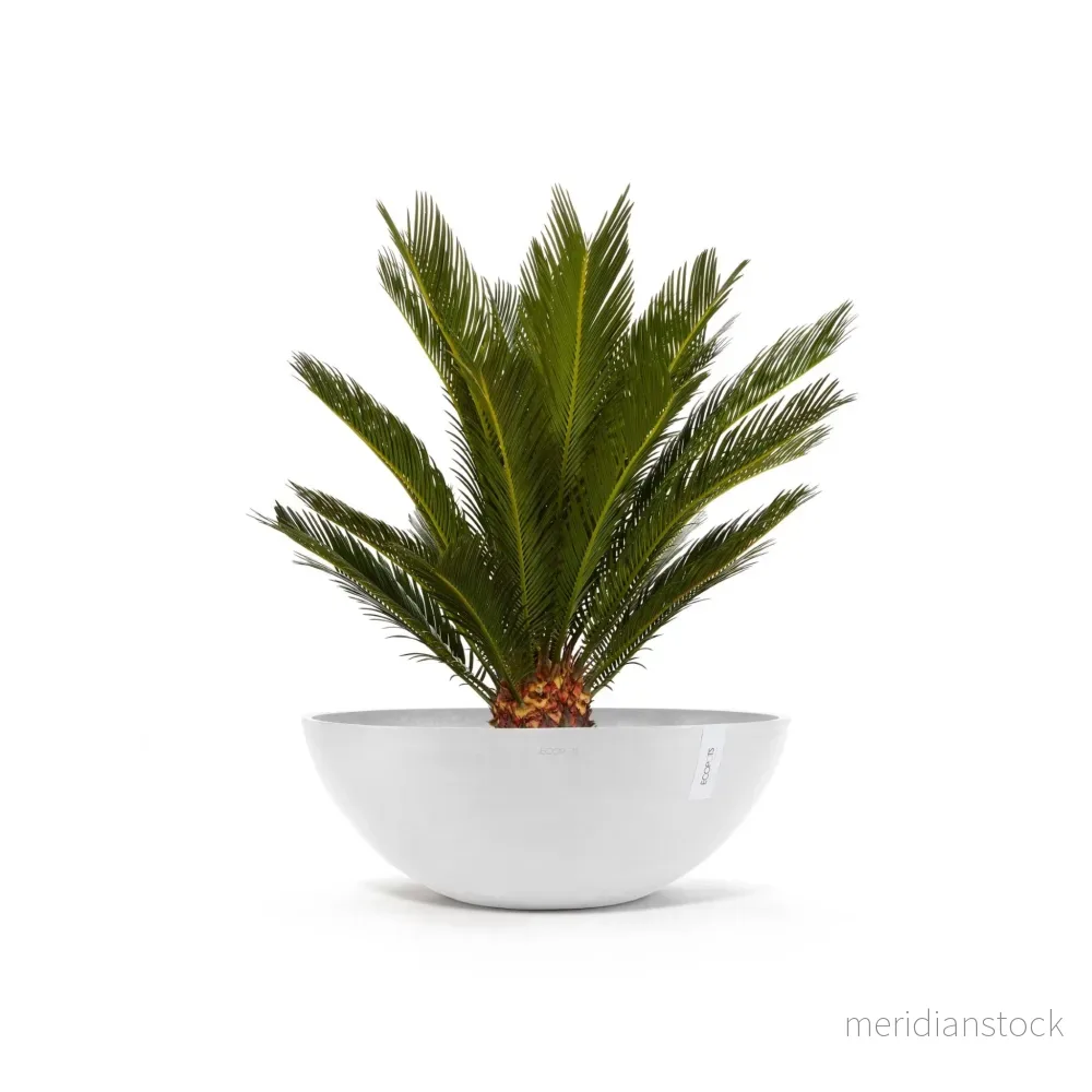 Kruka Wien 70cm vit
