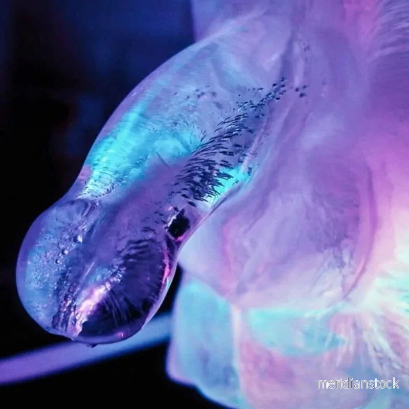 PLAY WIV ME - HUGE PENIS ICE LUGE MOLD - Bild 2