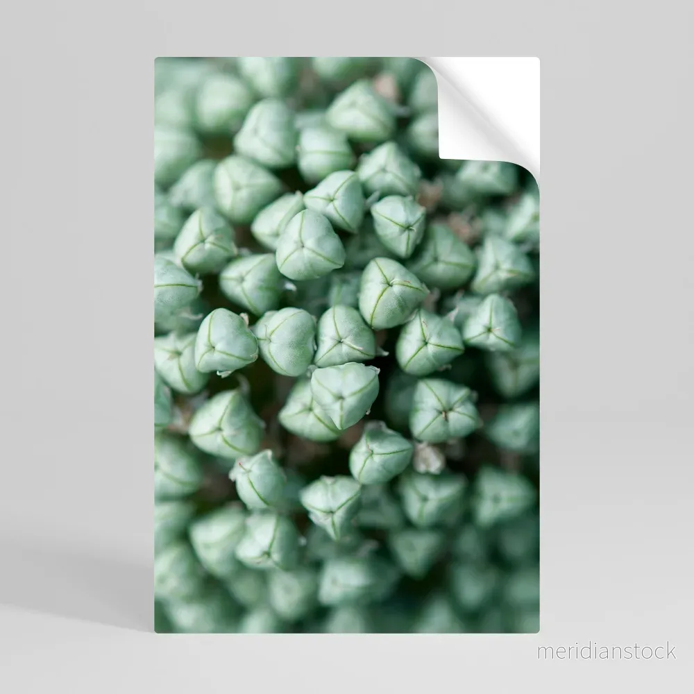 TEXTURED GREEN TIDBITS Självhäftande Vertikal Poster - Bild 2