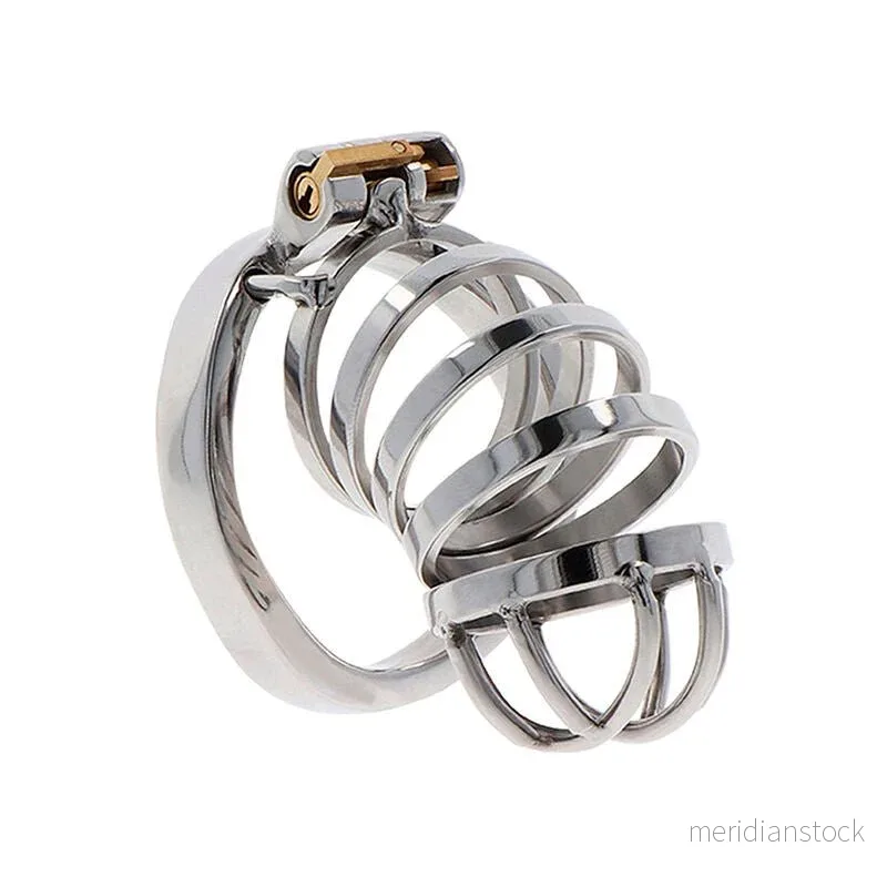 HIDDEN DESIRE - EXTREME CHASTITY COCK CAGE METAL