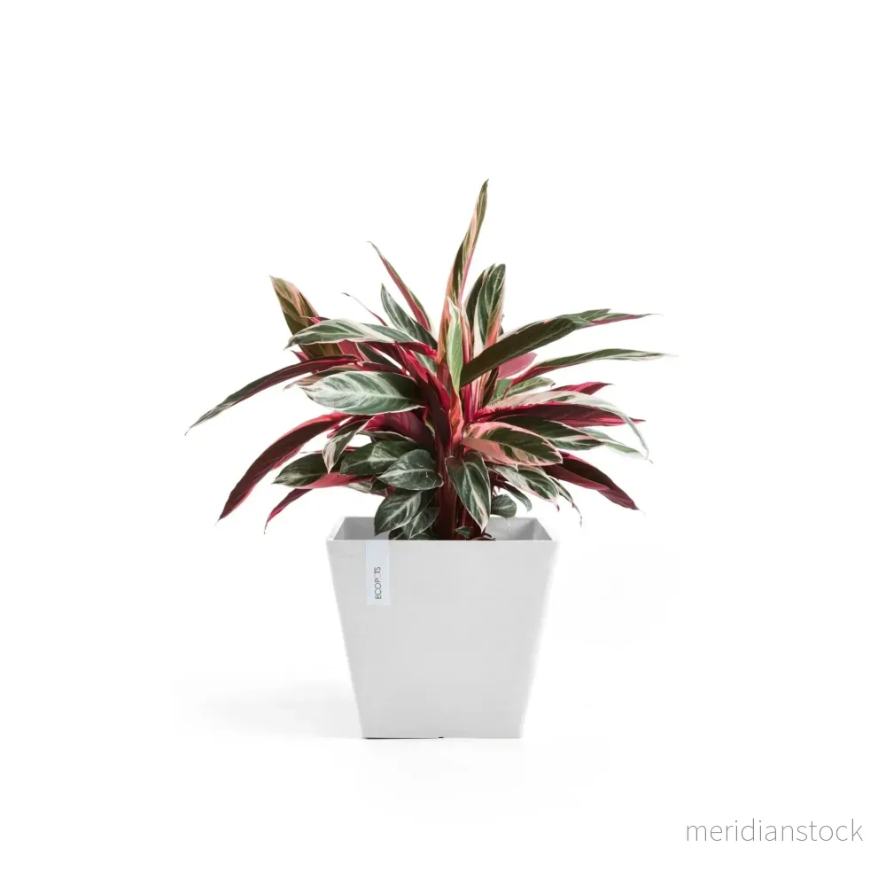 Kruka Rotterdam 30cm vit Kruka Rotterdam 30cm vit