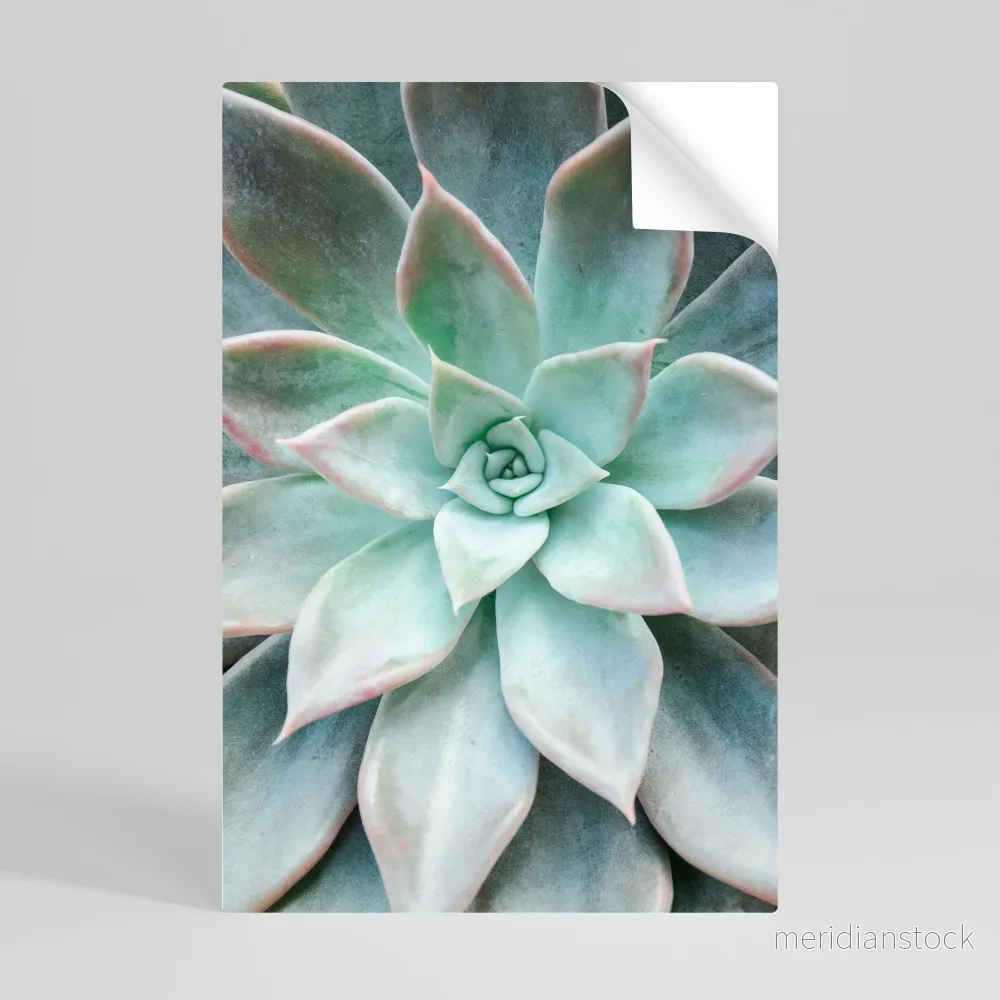 GEOMETRIC GARDEN MAGIC Självhäftande Vertikal Poster