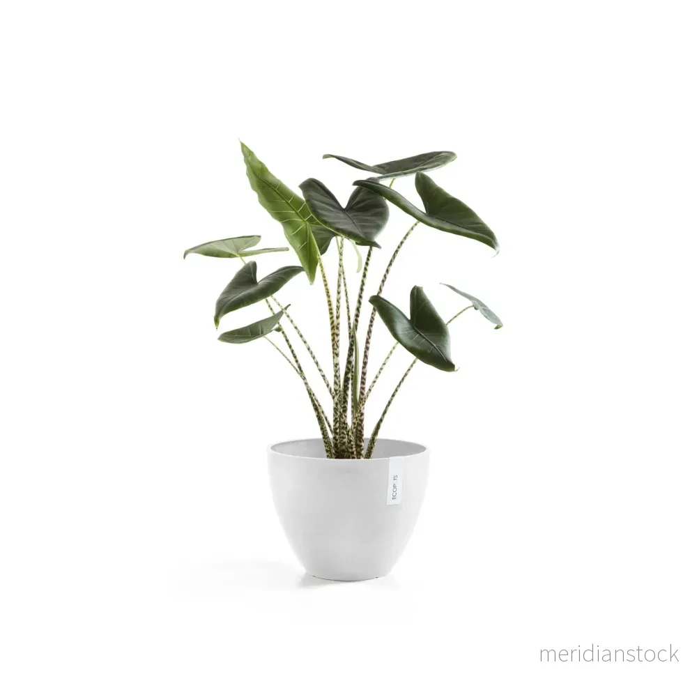 Kruka Antwerpen 30cm vit Kruka Antwerpen 30cm vit