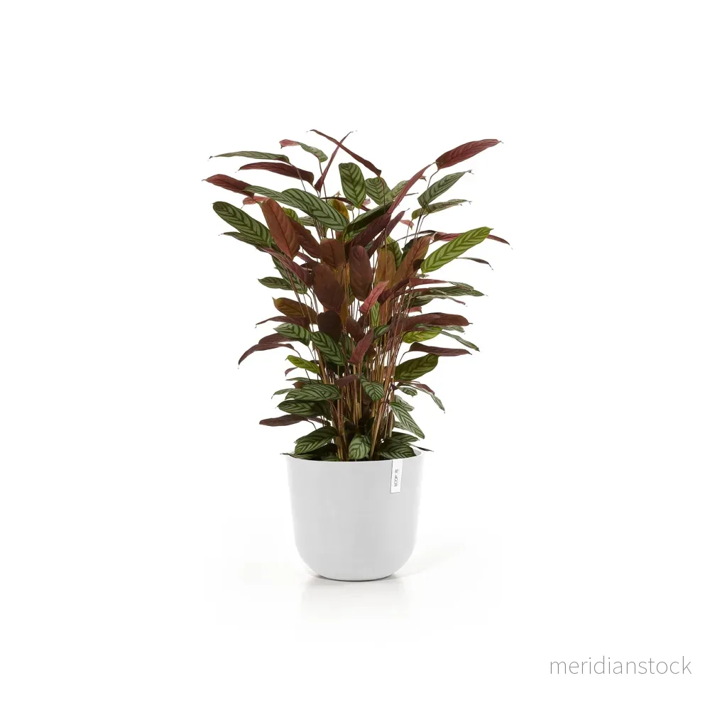 Kruka Oslo 35cm vit