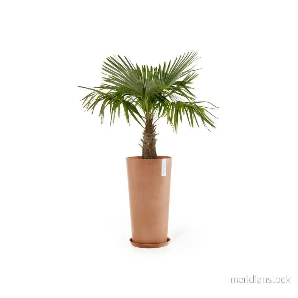 Kruka Amsterdam hög 76cm terrakotta - Bild 2
